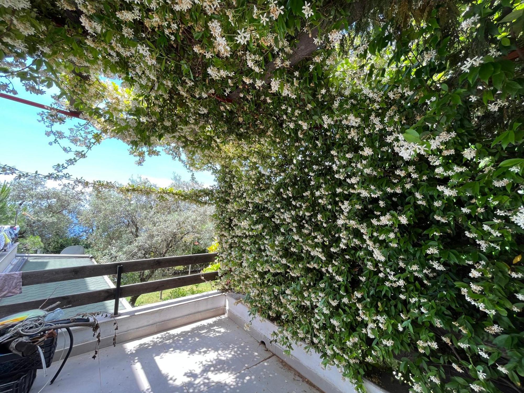 The Olives Terrace Residences Dhermi Exterior photo